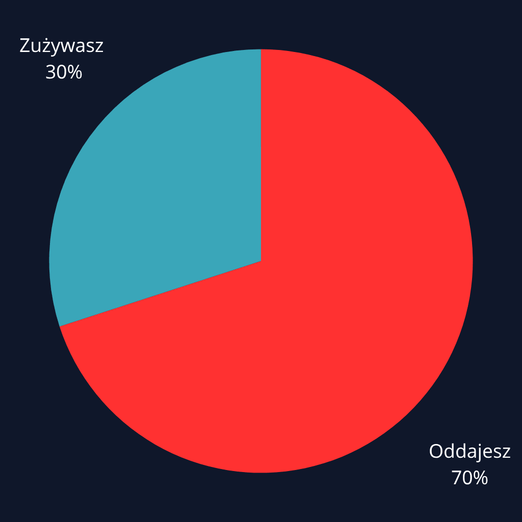Bez magazynu energii - konsumpcja