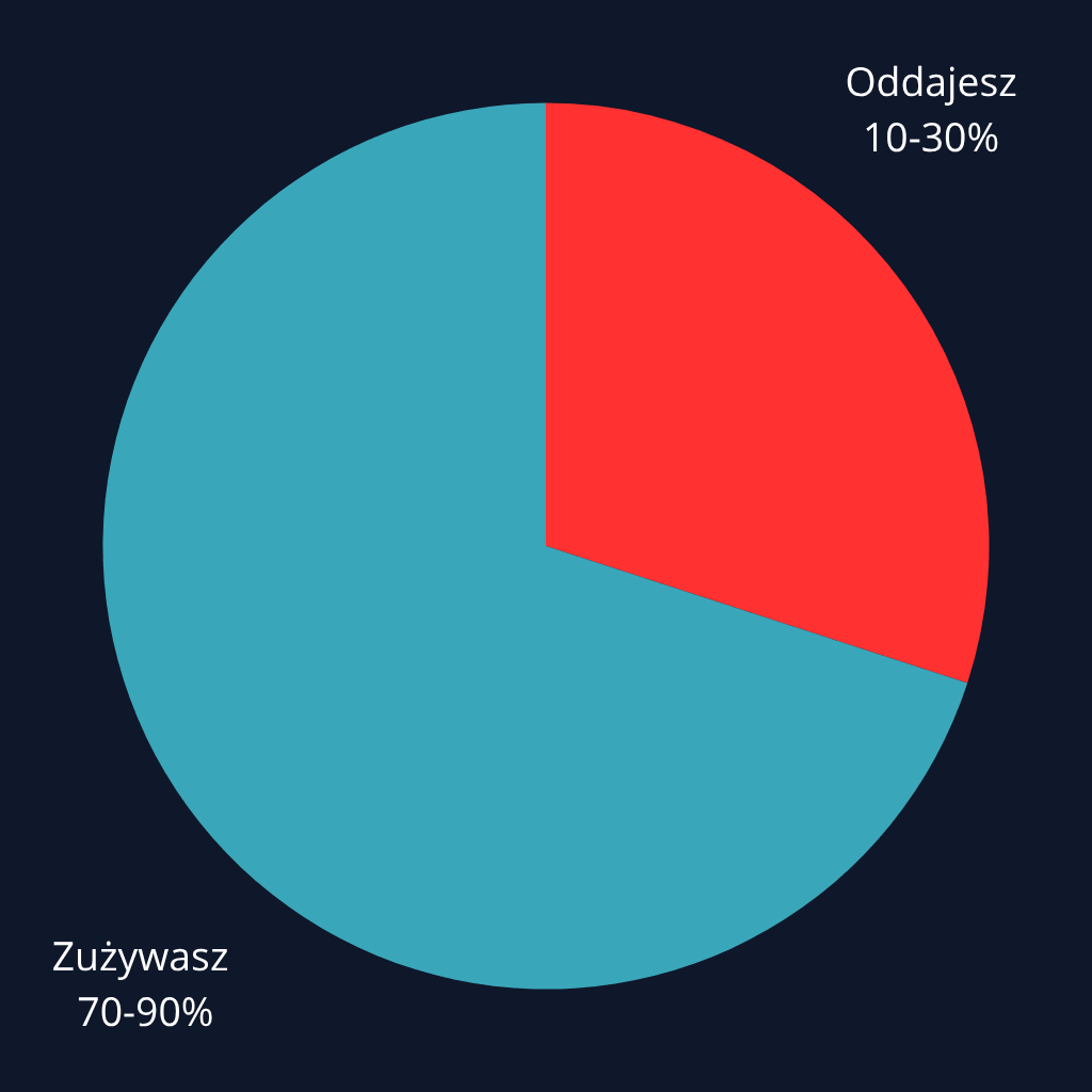 Z magazynem energii - konsumpcja